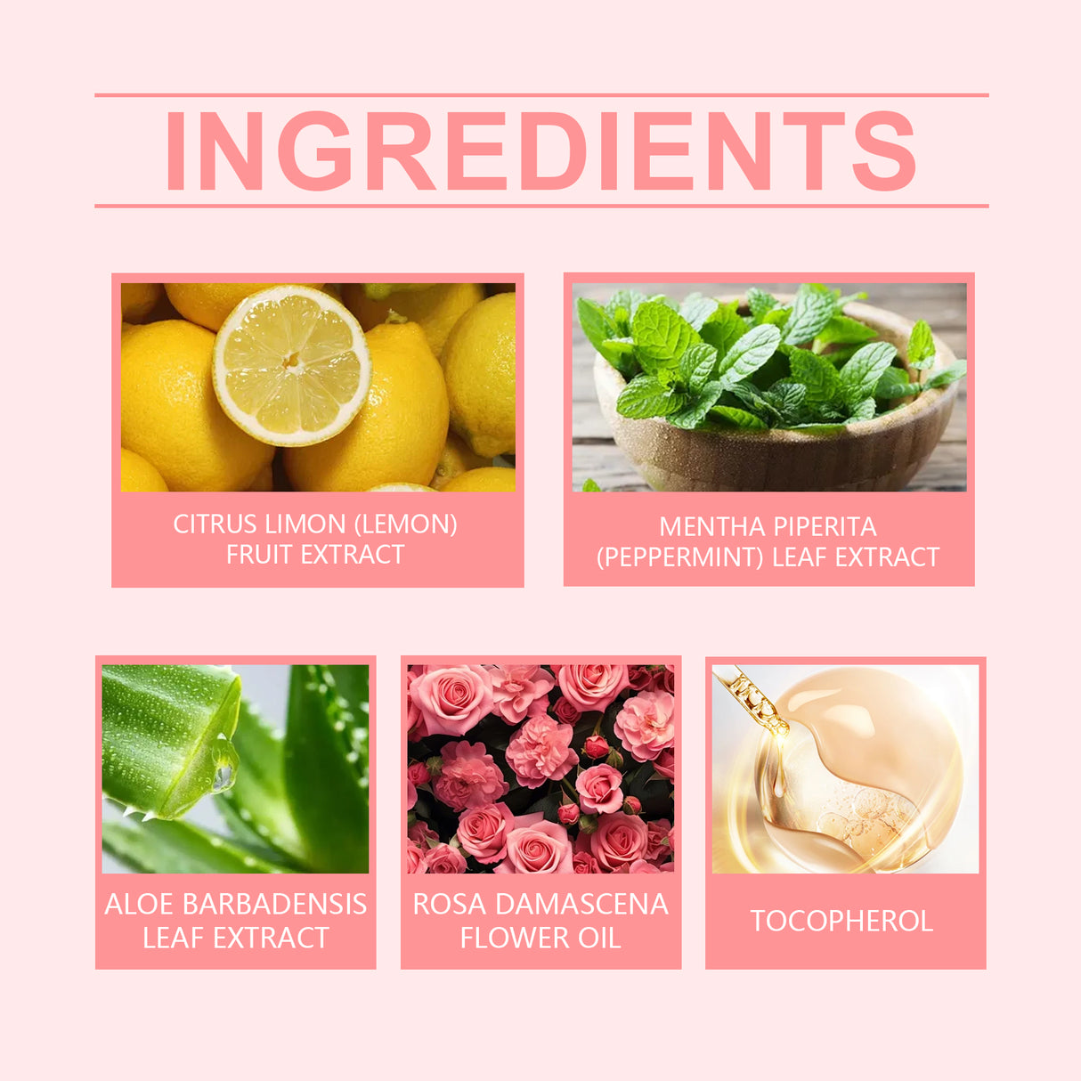 Mouth Rose Mouthwash Oral Hygiene Care Clean Tooth Stains, Gingiva And Freshen Breath - V.I.P Digital Presence