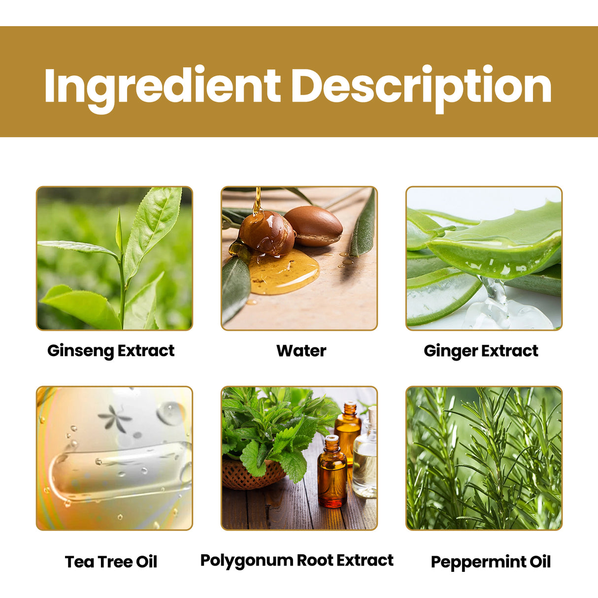 Tight Hair Shampoo Hair Cleansing Massage Scalp To Prevent Loose Tight Hair Roots Strong And Solid Hair Shampoo - V.I.P Digital Presence