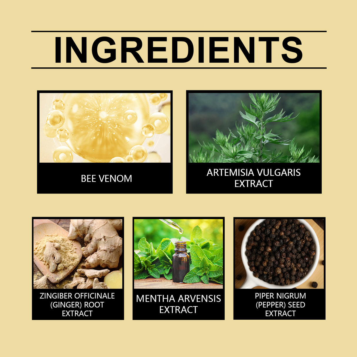 Beesvenom Body Shaping Patch, Shaping And Firming Body, Skin, Belly, Meat, Slim Body, Light, Beautiful And Considerate - V.I.P Digital Presence