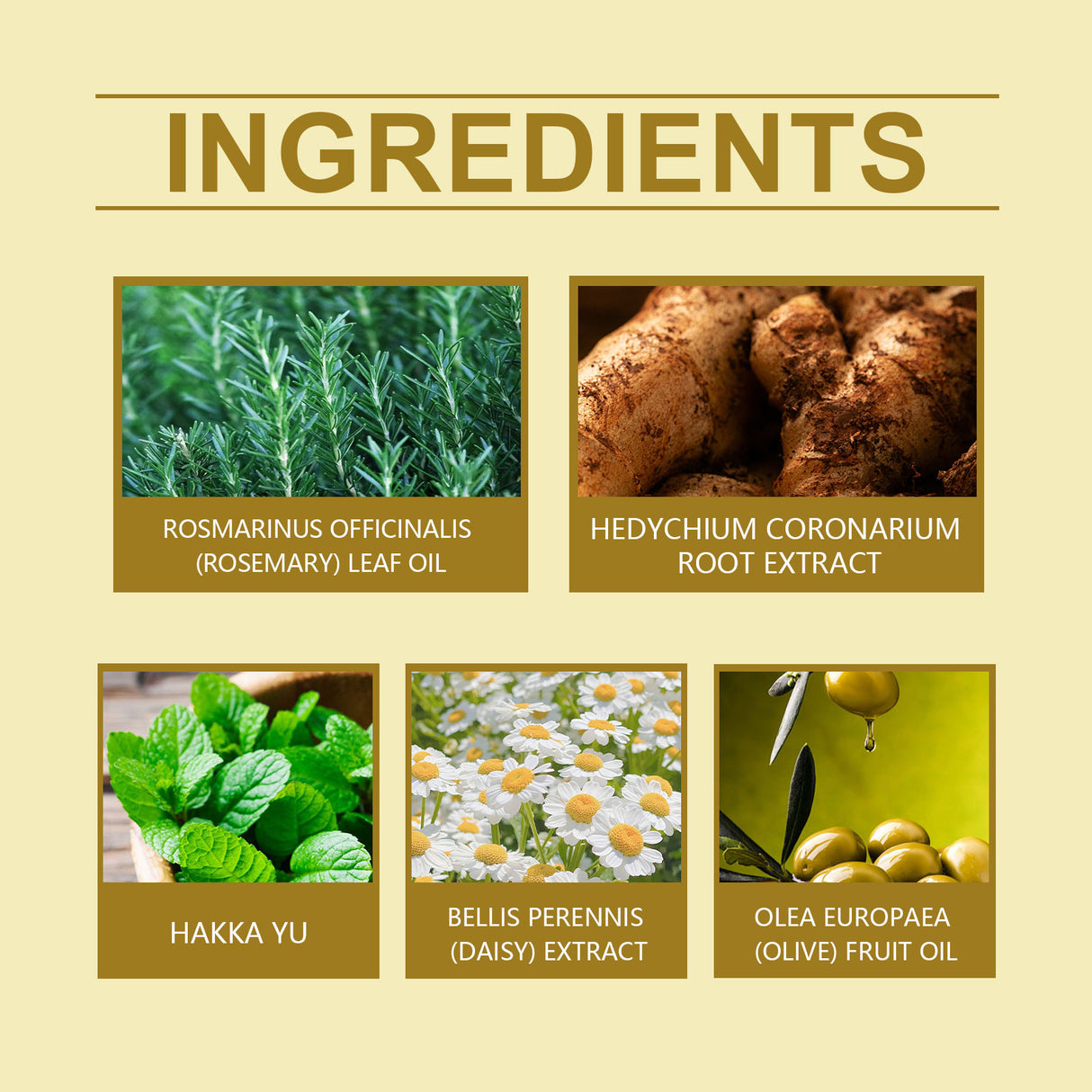 Men's Hair Care Essential Oil, Wave Hair Oil Clean, Plump And Smooth Hair - V.I.P Digital Presence