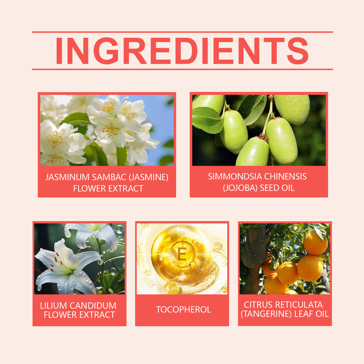 Jasmine Light Perfume Flower Fruit Fragrance Natural Fresh Mild Lasting Light Fragrance Portable Charm Staying Perfume - V.I.P Digital Presence