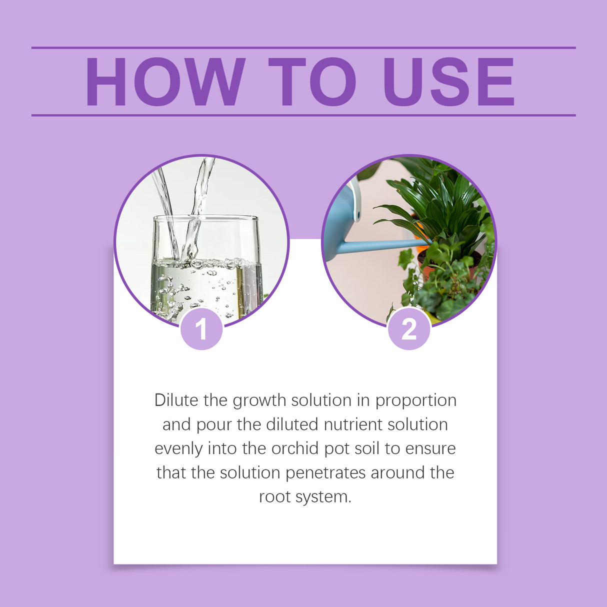 Orchid Plant Growth Agent Flower Green Plant Special Nutrient Solution For Orchid Pot Common - V.I.P Digital Presence