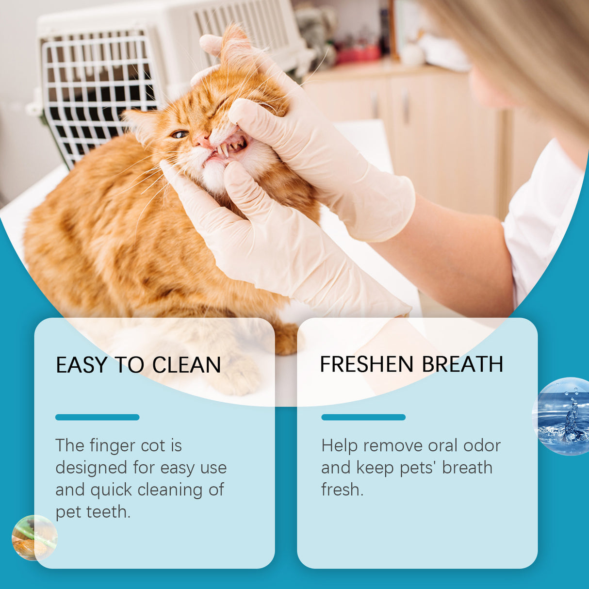 Cat And Dog Tooth Wipes, Pet Tooth Cleaning Tartar Clean Repair Fresh Care Fingercover - V.I.P Digital Presence