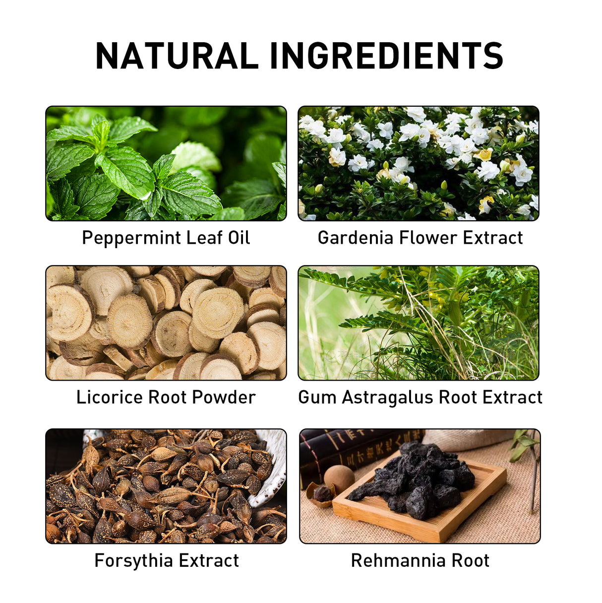 Legend Patch, Relieve Wrist And Knee Muscle Soreness Body Care Patch - V.I.P Digital Presence