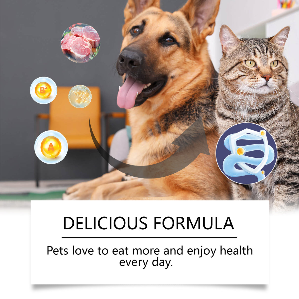 Cats And Dogs General Compound Probiotic Tablets, Pets Absorb Nutrition Supplement Tablets Dog And Cat Nutrition - V.I.P Digital Presence