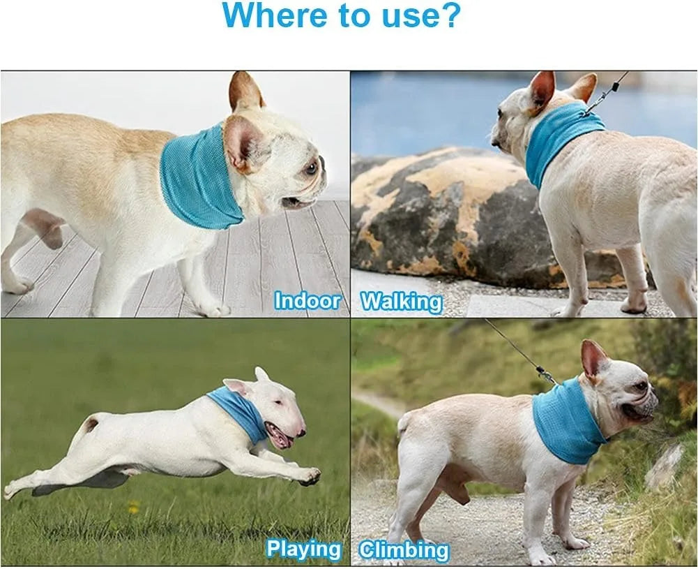 Dog Cooling Bandana Ice Pet Cooling Collar for Hiking Traveling Pet Supplies - V.I.P Digital Presence