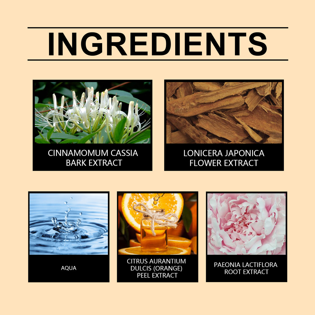 Eau De Toilette Spray Men's Perfume Cologne Citrus Perfume Fresh Charm Portable Fragrance Spray - V.I.P Digital Presence