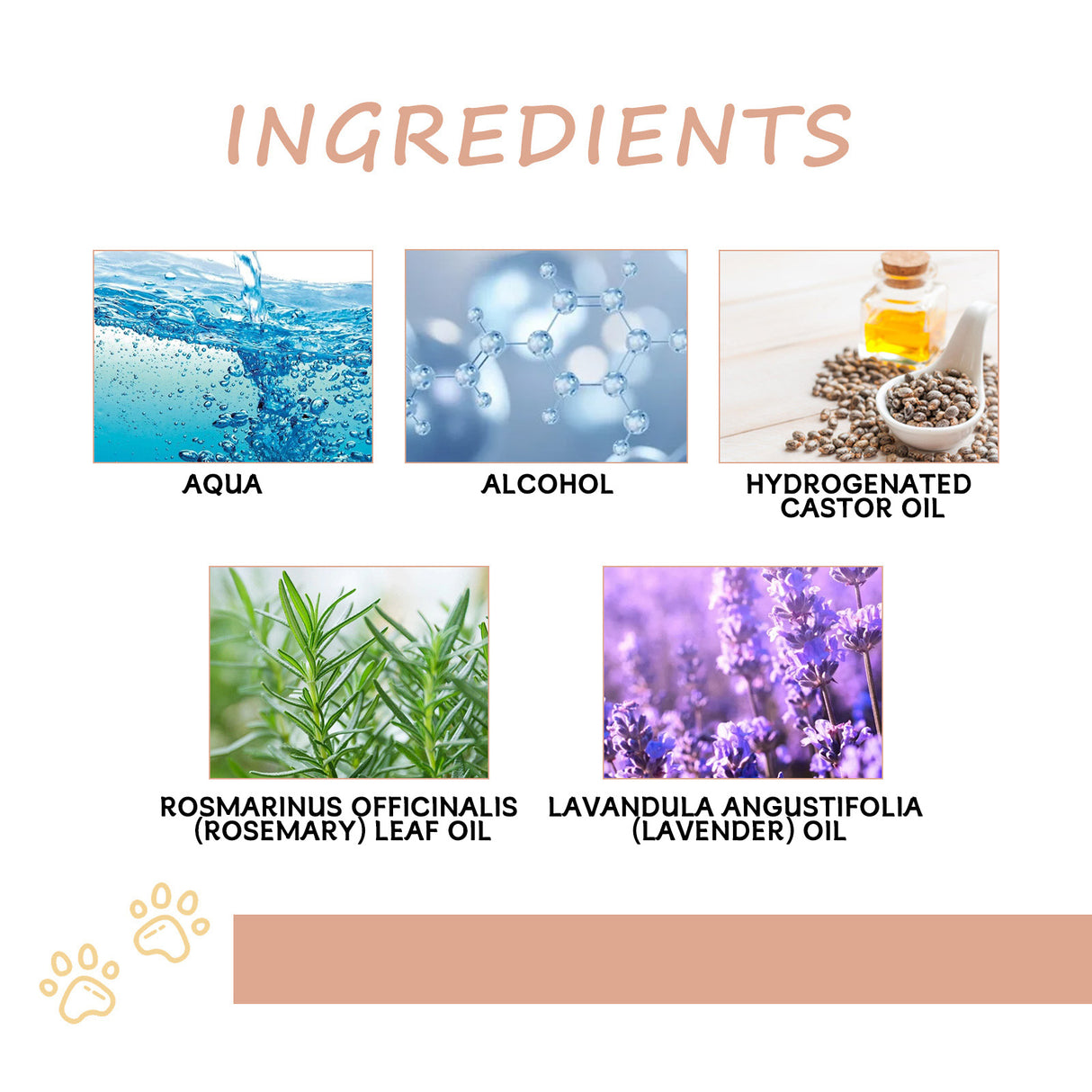 Pet Defecation Inducer Spot-Training Induction Spray Pet Toilet Inducer - V.I.P Digital Presence