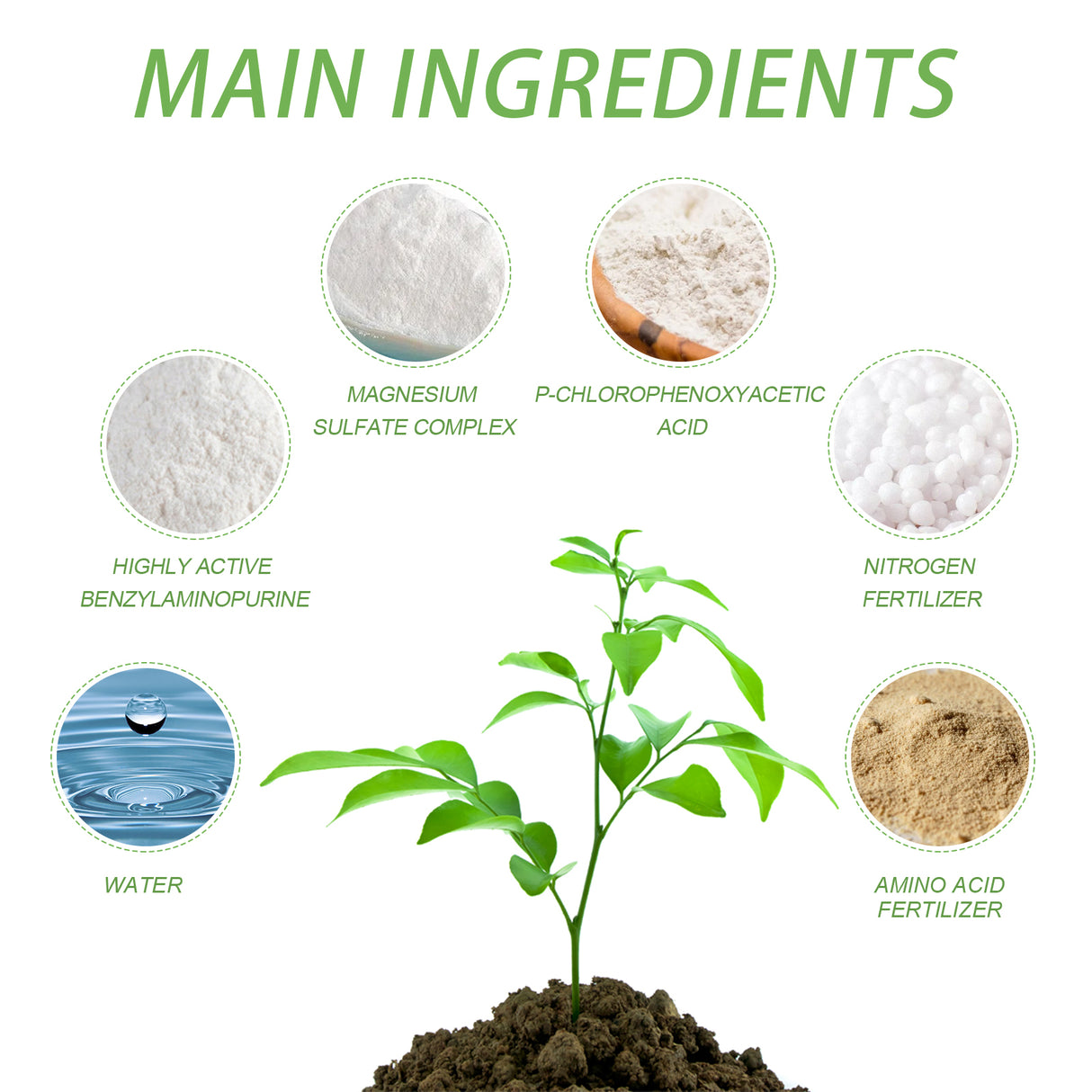 Plant Nutrient, Flower Pot Lawn Green Leaf Plant Fertilizer Root Growth Nutrient - V.I.P Digital Presence