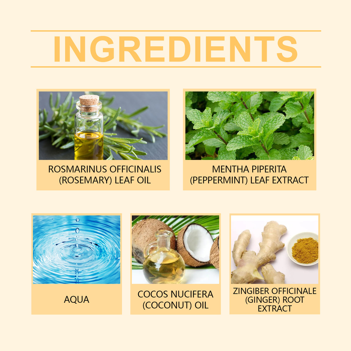 Rosemary Shampoo Cleans And Nourishes Hair Gentle, Smooth And Glossy Shampoo - V.I.P Digital Presence