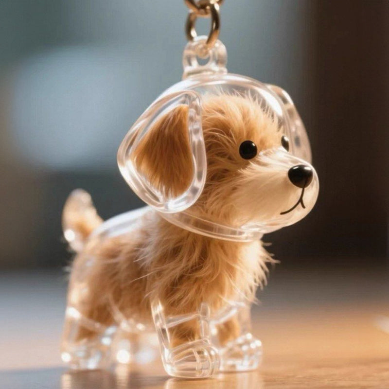 A transparent DIY pet hair memorial keychain box, a sweet keepsake for dog lovers. - V.I.P Digital Presence