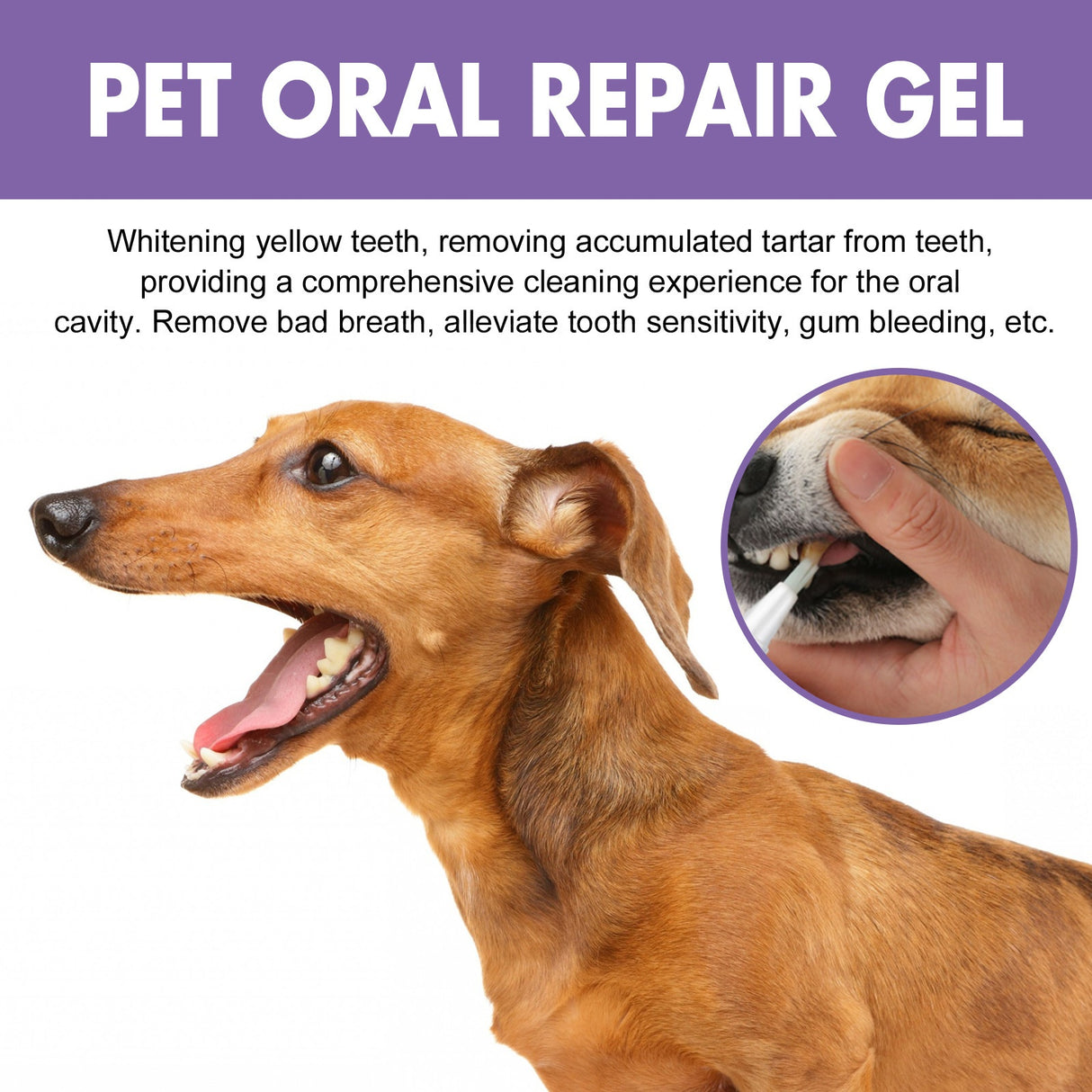 Pet Oral Care Gel for Deep Cleaning of Dog and Cat Teeth Stains and Oral Hygiene - V.I.P Digital Presence