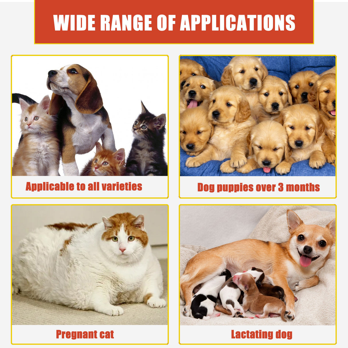 Pet Hemostatic Powder, Skin Wound Cleaning Styptic Powder For Cats And Dogs Soothing Wound Healing Powder For Pets - V.I.P Digital Presence