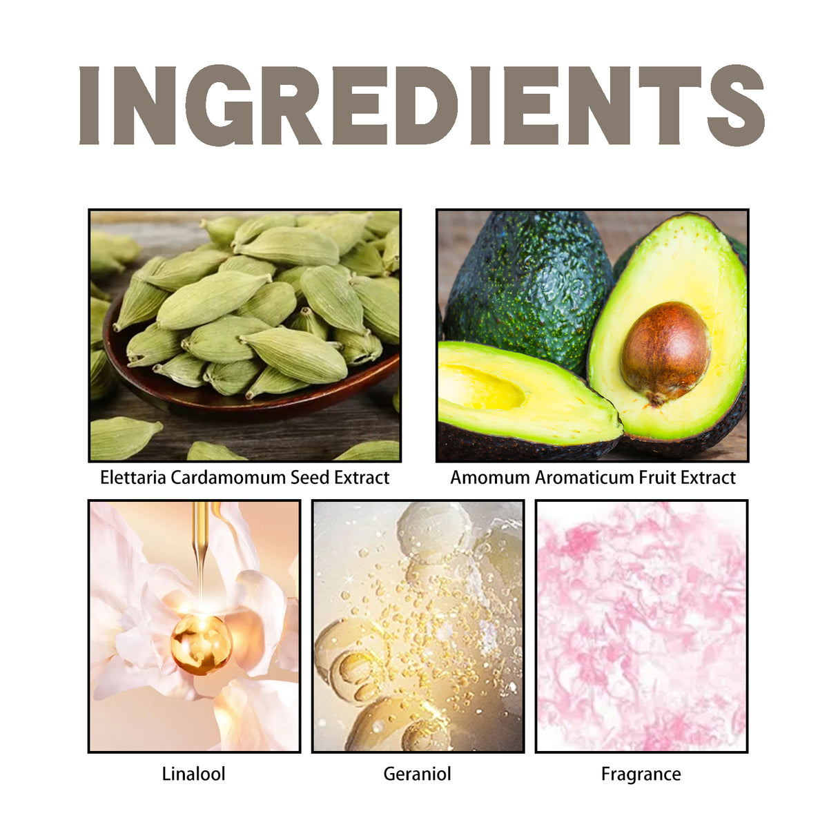 Cardamom Tonka Scent Experience Perfume, Natural Fragrance Light Elegant Lasting Fragrance Mild Portable Date Atmosphere Perfume - V.I.P Digital Presence