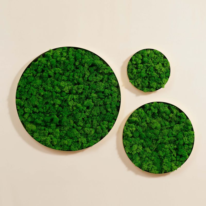 Round Framed Moss Wall Decor, only the Large
