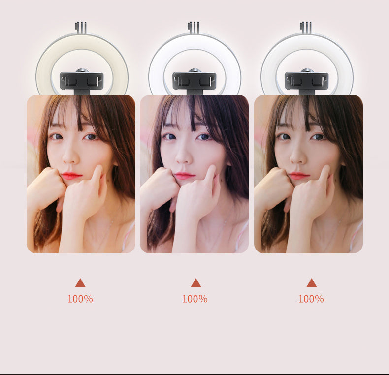 New P40D Portable Selfie Stick With 6 Inches Round Net Celebrity Beauty Fill Light Mobile Phone Live Support