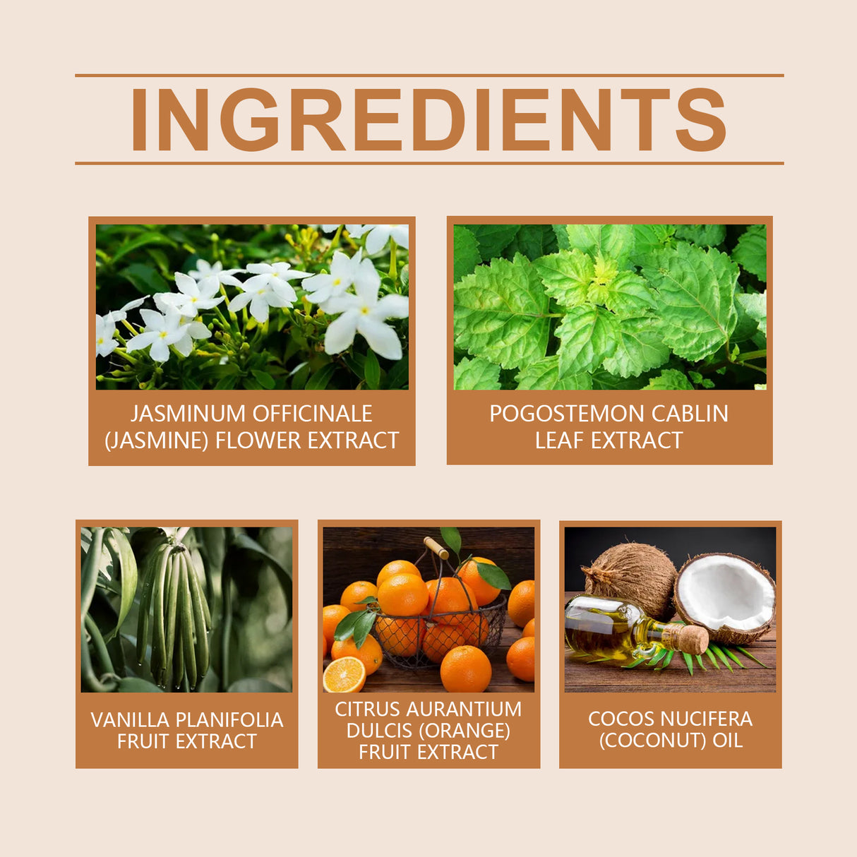 Vanilla Orange Ball Perfume Long Lasting Fragrance Light And Elegant Aromas Dating Charm Elegant Temperament Portable Perfume - V.I.P Digital Presence