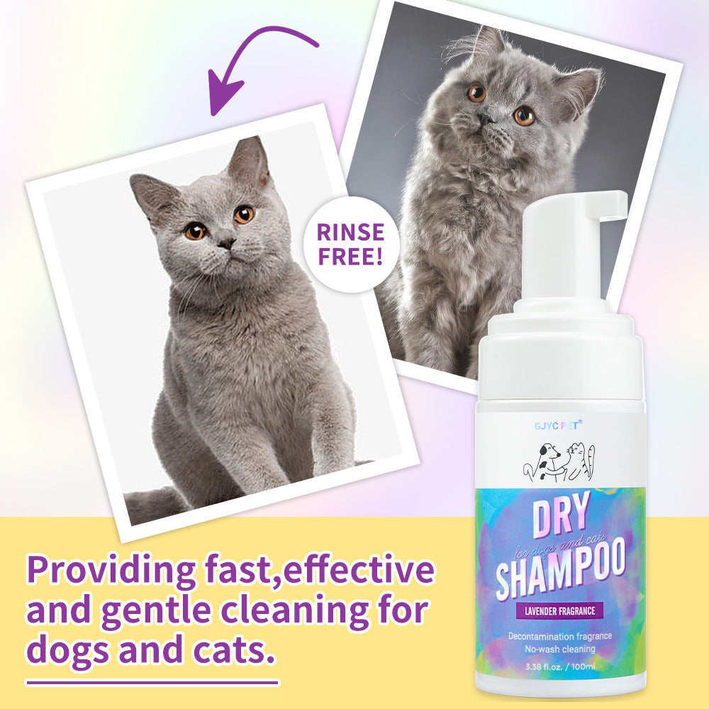 Cat Dry Shampoo Bubbles Pet No-Rinse Deodorizing and Fragrant Teddy No-Wash - V.I.P Digital Presence
