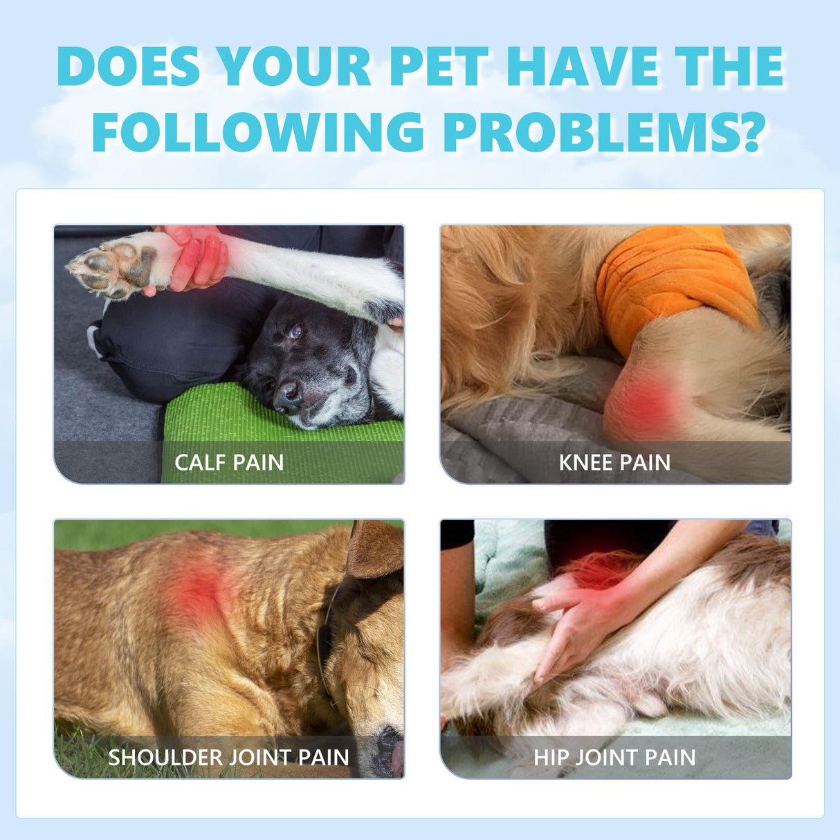 Pet Glucosamine Drops Relieve Pain Of Bones And Joints For Pets Body Care For Cats And Dogs - V.I.P Digital Presence