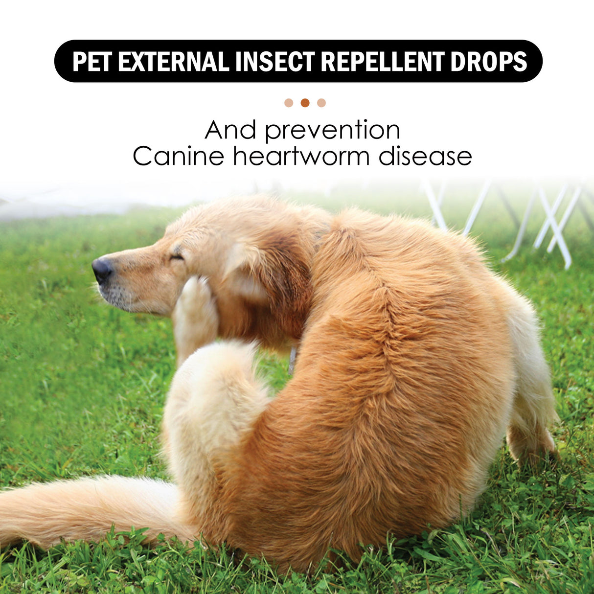 Pet Extracorporeal Insect Repellent Drops, Cats And Dogs Clean To Remove Ticks And Fleas Drops - V.I.P Digital Presence