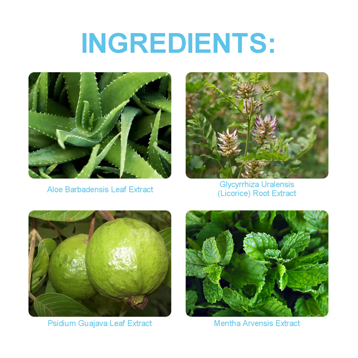 Probiotic Brightening Toothpaste, Deep Cleaning To Remove Odors Care For Teeth Oral Cleaning Care - V.I.P Digital Presence