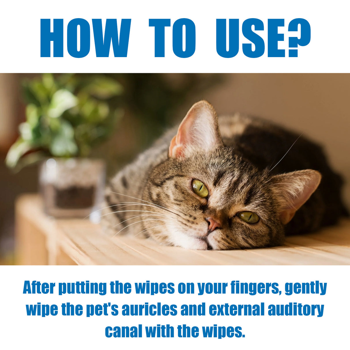 Pet Finger Wipes, Ear Care Finger Cover Ear Wax Ear Mite Cleaning Care - V.I.P Digital Presence