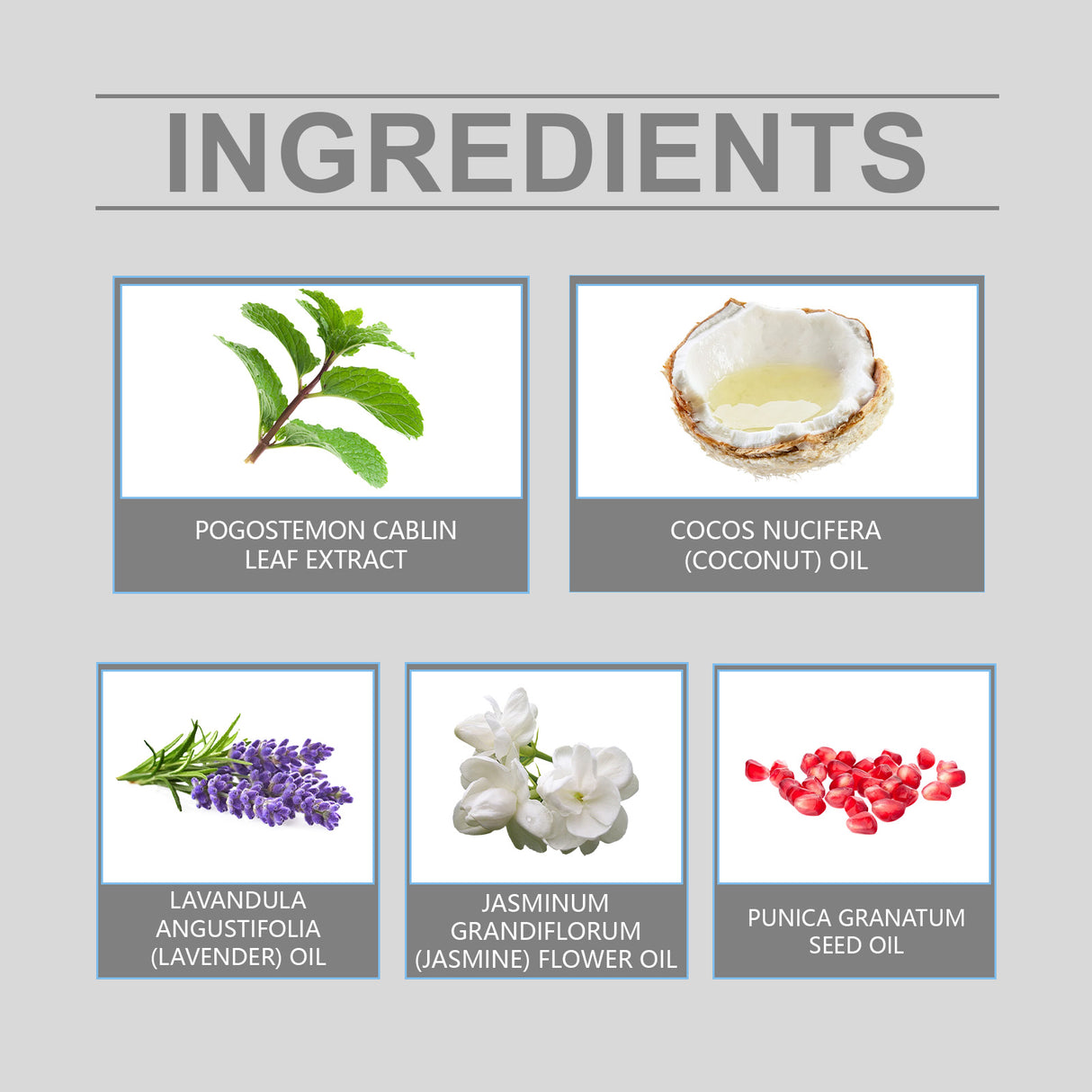 Pheromone Ball Perfume, Portable Fragrance For Men Fresh Charm Minority Jasmine Perfume - V.I.P Digital Presence