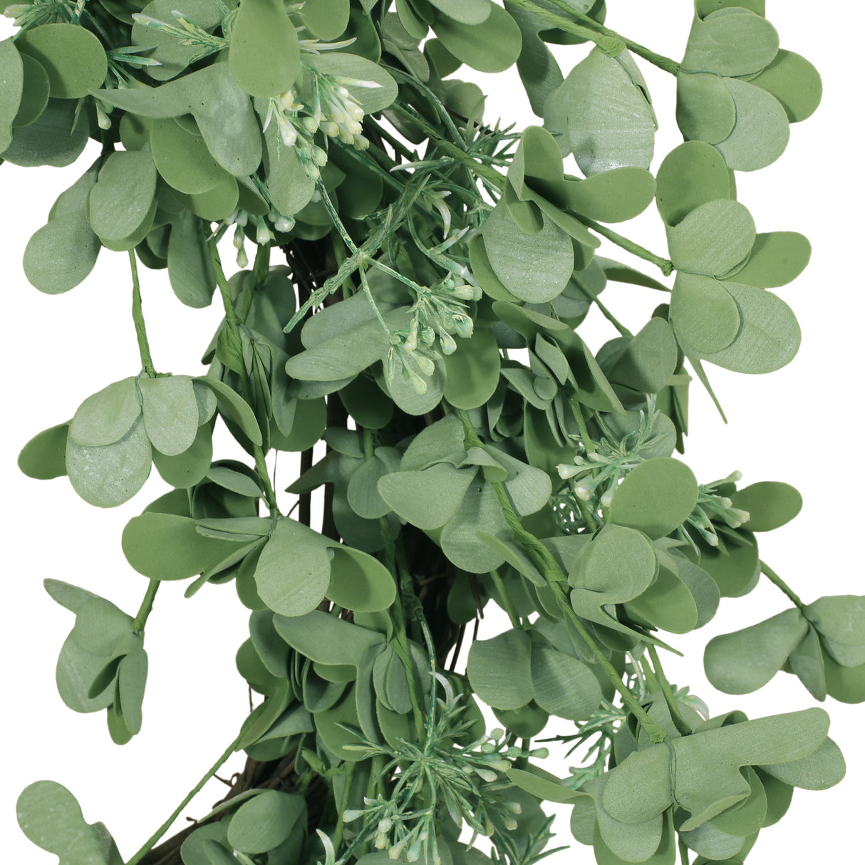 27" OXALIS CORNICULATA WREATH - V.I.P Digital Presence