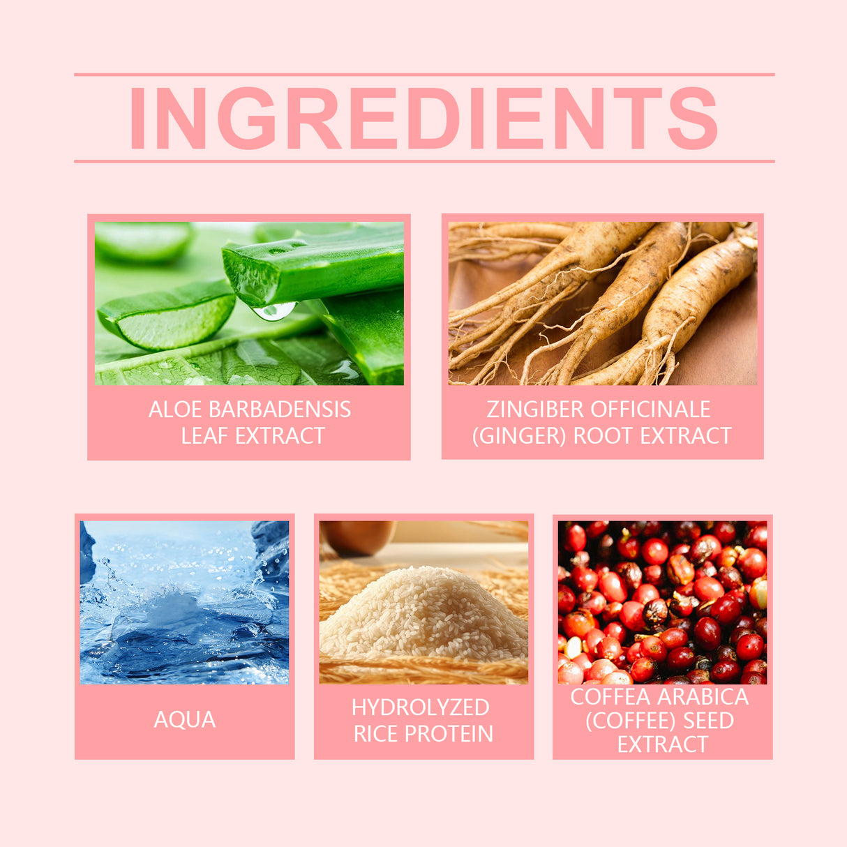 Rice Hair Care Spray Hydrates And Nourishes Hair Soft And Shiny Daily Care Spray - V.I.P Digital Presence