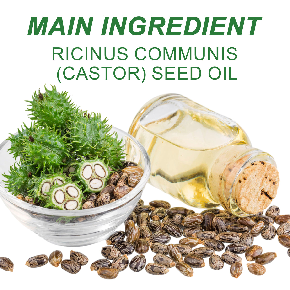 Castor Oil, Nourish And Repair Damaged Hair Dry Strength Solid Hair Smooth Hair Oil - V.I.P Digital Presence