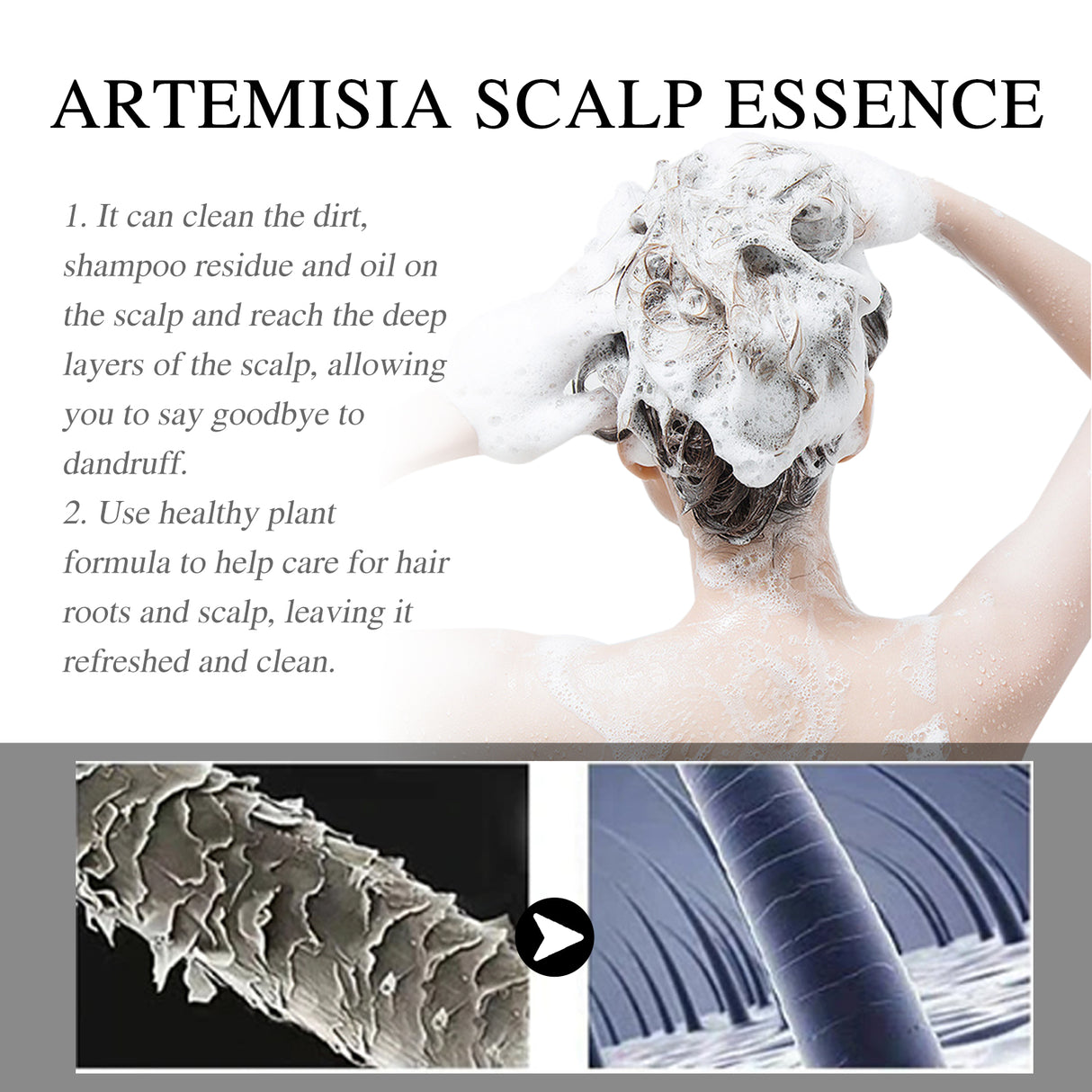 Artemisea Anti-Dandruff Scalp Pigment, Clean Scalp, Relieve Itching And Oil Control, Repair Frizz Damaged Hair Care - V.I.P Digital Presence