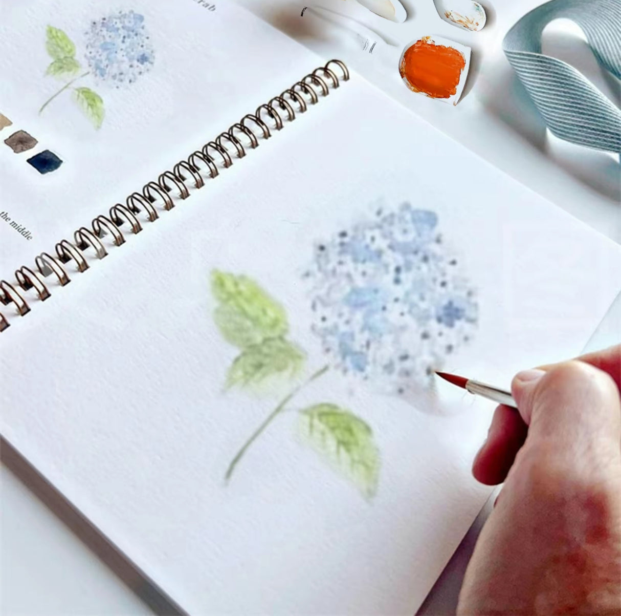 BloomArt Watercolor Set