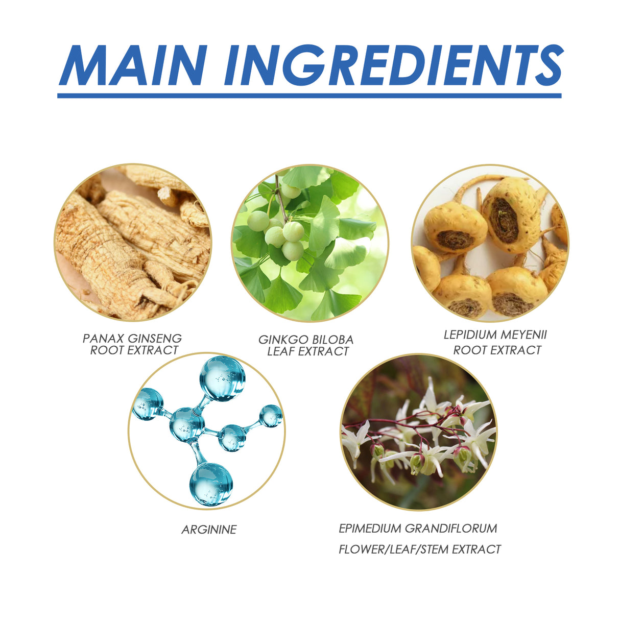 Male Enhancement Drops - V.I.P Digital Presence