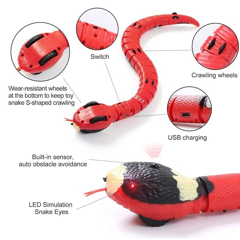 USB Rechargeable Interactive Cat Toy with Smart Sensing, an Automatic Electronic Snake for Kittens' Indoor Play. - V.I.P Digital Presence