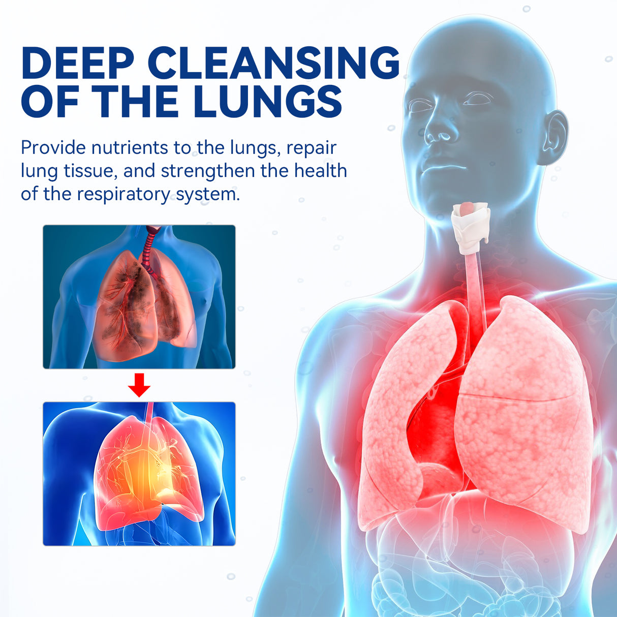 Body Care Spray To Relieve Discomfort Nasal Breathing Obstruction Cough Care Spray - V.I.P Digital Presence