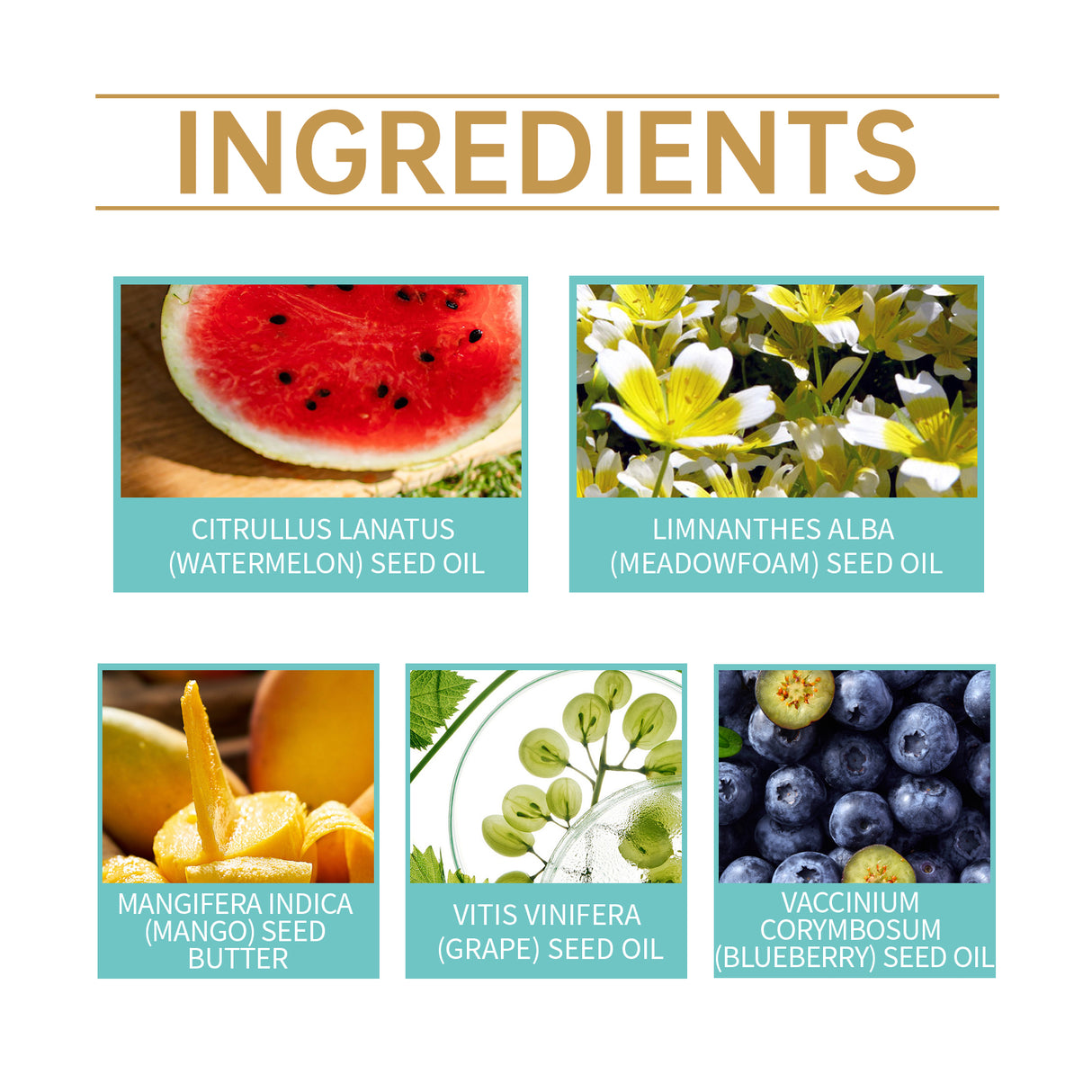 3 In 1 Cleansing Gel Deep Clean Non-Tight Moisturizing 3-In-1 Cleansing Gel Face