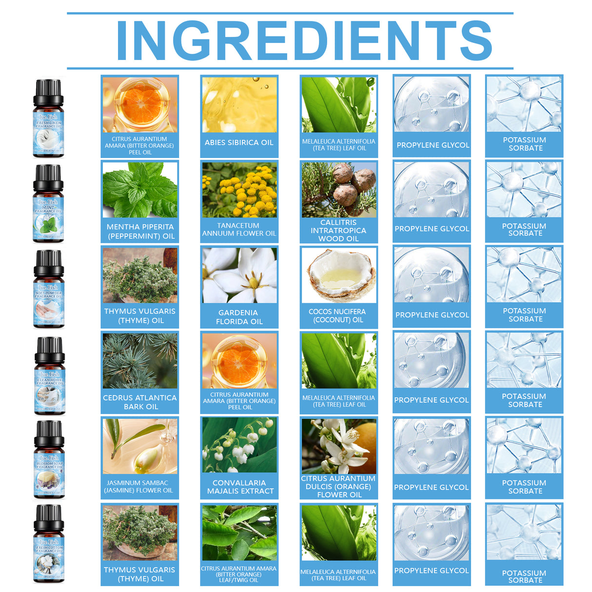 Cleansing Essential Oil Set, Fresh Natural Humidifier Essential Oil Lasting Essential Oil Perfume Oil - V.I.P Digital Presence