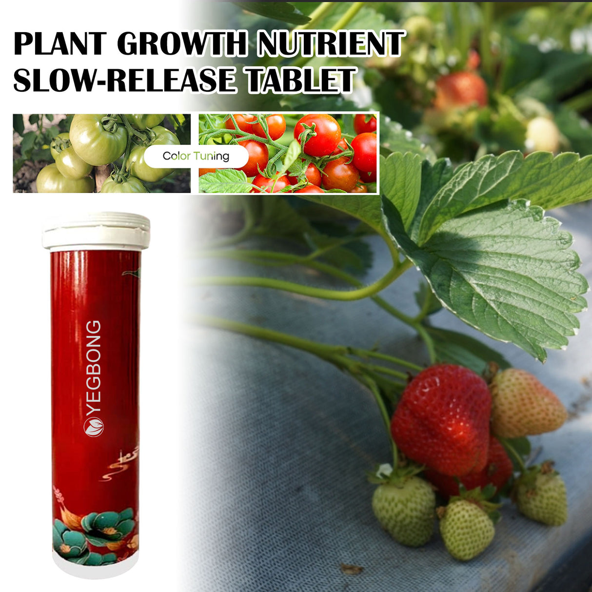 Plant Growth Nutrition Sustained-Release Tablet, Fruit And Vegetable Plant Pot Root Growth Universal Nutrition Tablet - V.I.P Digital Presence