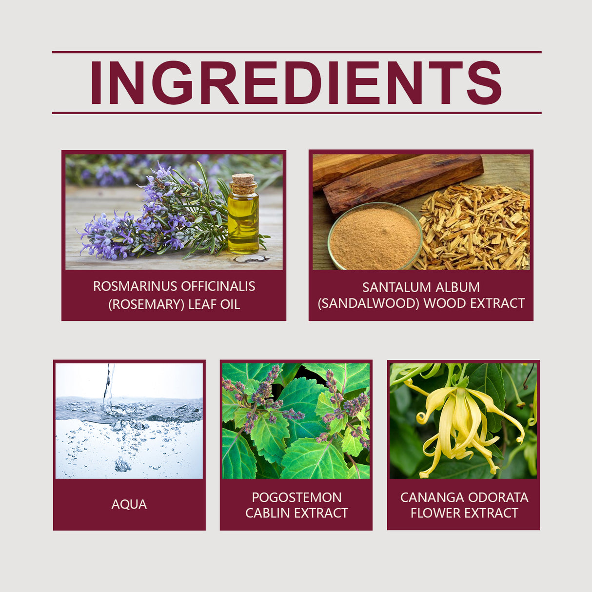 Dating Cologne, Lasting Fragrance Light Elegant Fresh Exudes Personal Charm Atmosphere Cologne - V.I.P Digital Presence