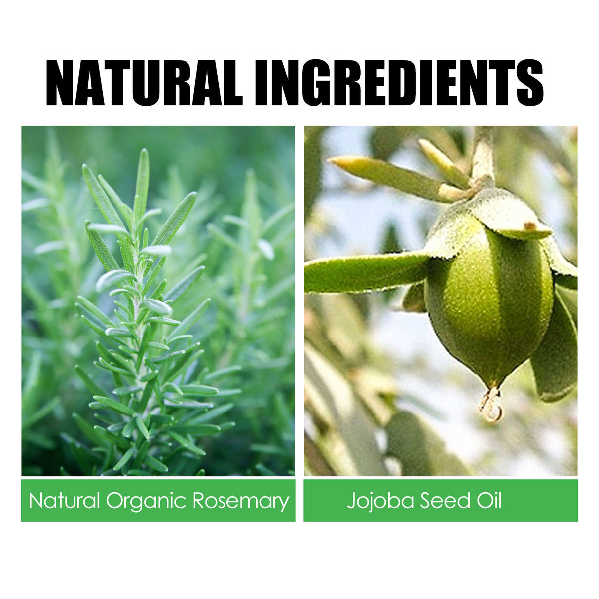 Rosemary Hair Care Nourish Hair Soft Fluffy Strong Moisturizing Root Hair Care Gift Set - V.I.P Digital Presence