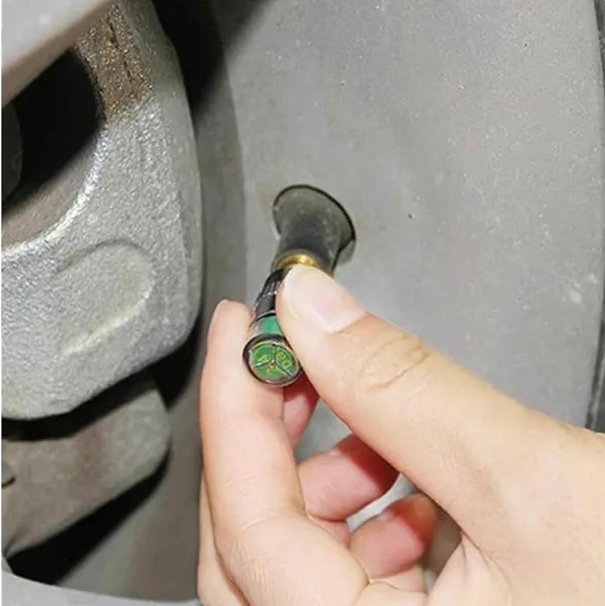 AutoCheck TireGuard Caps