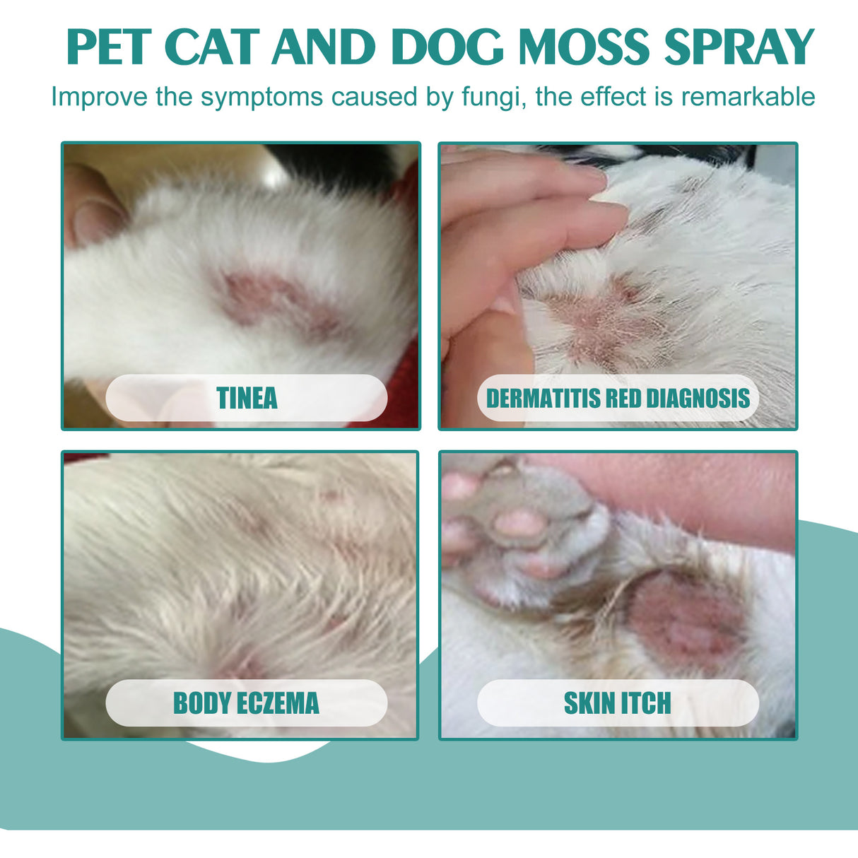 Pet Skin Medicine Spray, Cats And Dogs To Remove Mite Skin Itching To Remove Red Hair To Itch - V.I.P Digital Presence