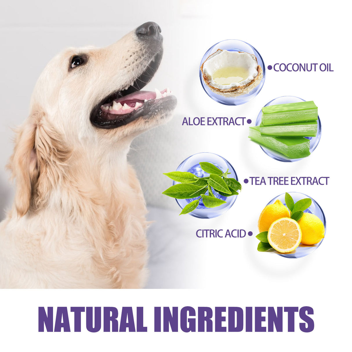 JAYSUING Pet Cleaning Glove Wipes, Pet Gum Care Gently Clean Dental Tartar Odor - V.I.P Digital Presence