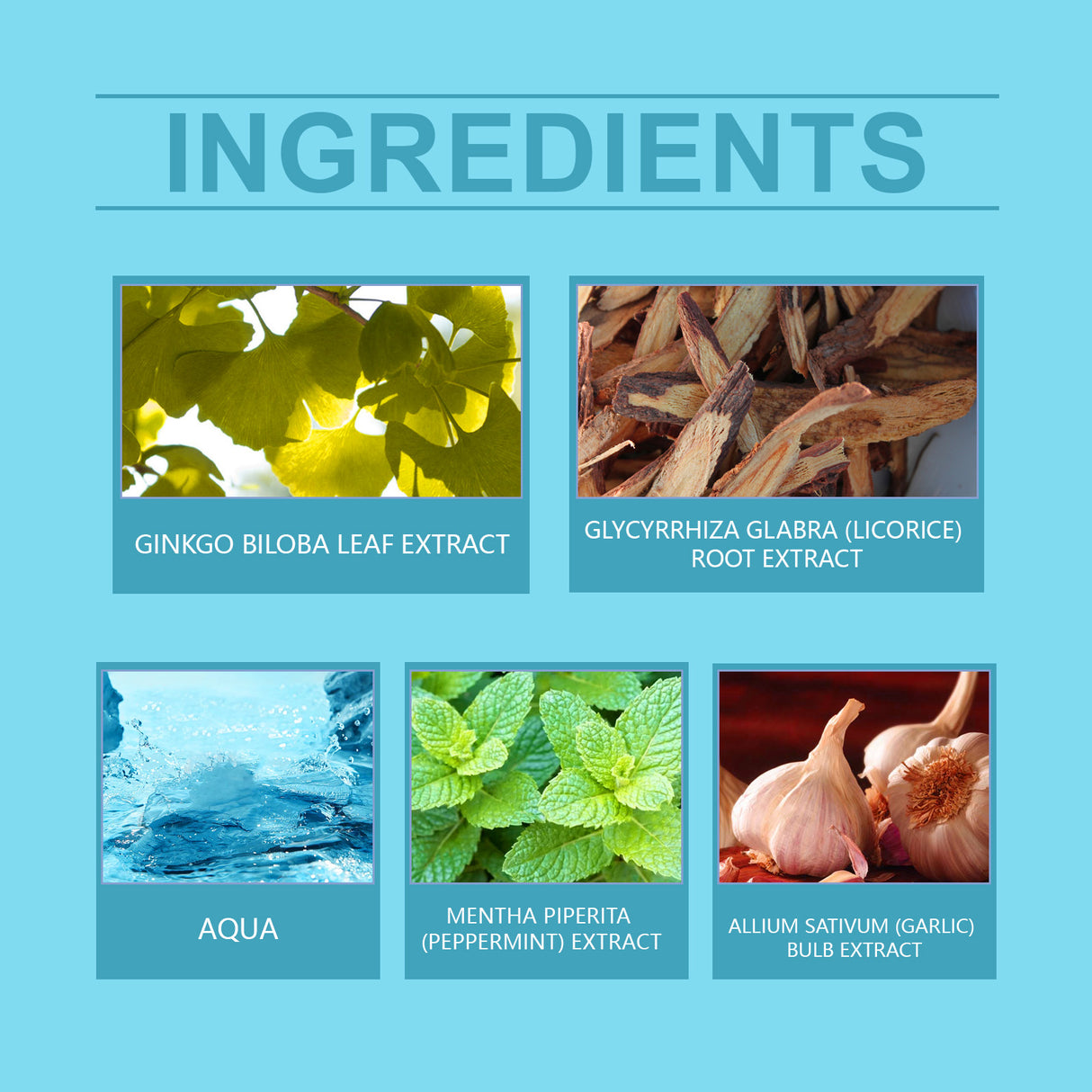 Tinnitus Serum, Cochlear Care Solution Ear Canal Cleaning Repair Tinnitus Ear Itching Ear Plugs Ear Acne Relief - V.I.P Digital Presence