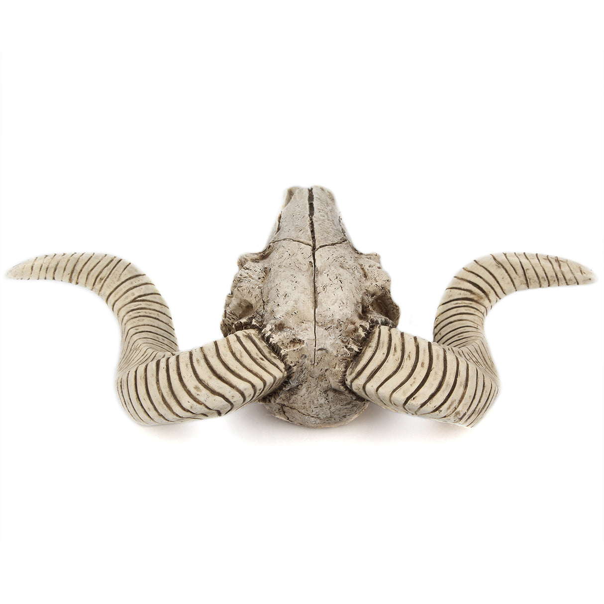Horned Skull Wall Hanging Creative Home Living Room Decor Retro Resin Craft - V.I.P Digital Presence