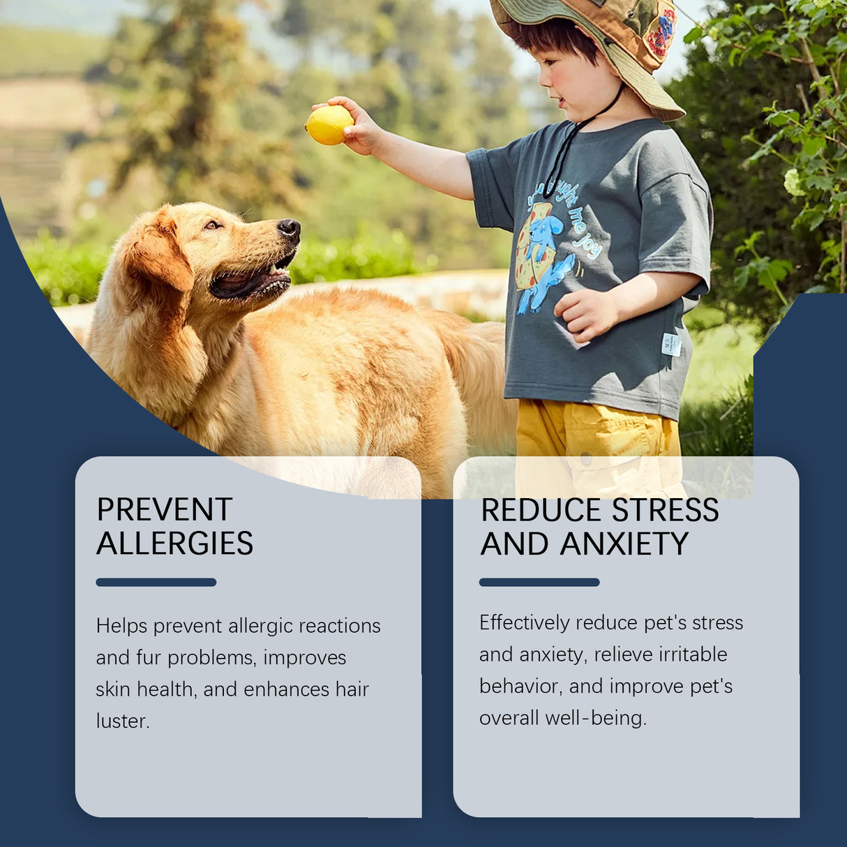 Food Supplement For Dogs, Immune-Boosting Healthy Dietary Supplement For Dogs - V.I.P Digital Presence