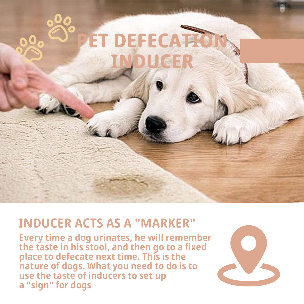 Pet Defecation Inducer Spot-Training Induction Spray Pet Toilet Inducer - V.I.P Digital Presence
