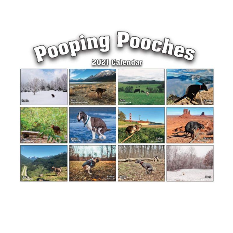 2021 Pooping Pooches Calendar White Elephant Gag Gift Calendar 2021 Calendar Poster Retro Decor Painting - V.I.P Digital Presence