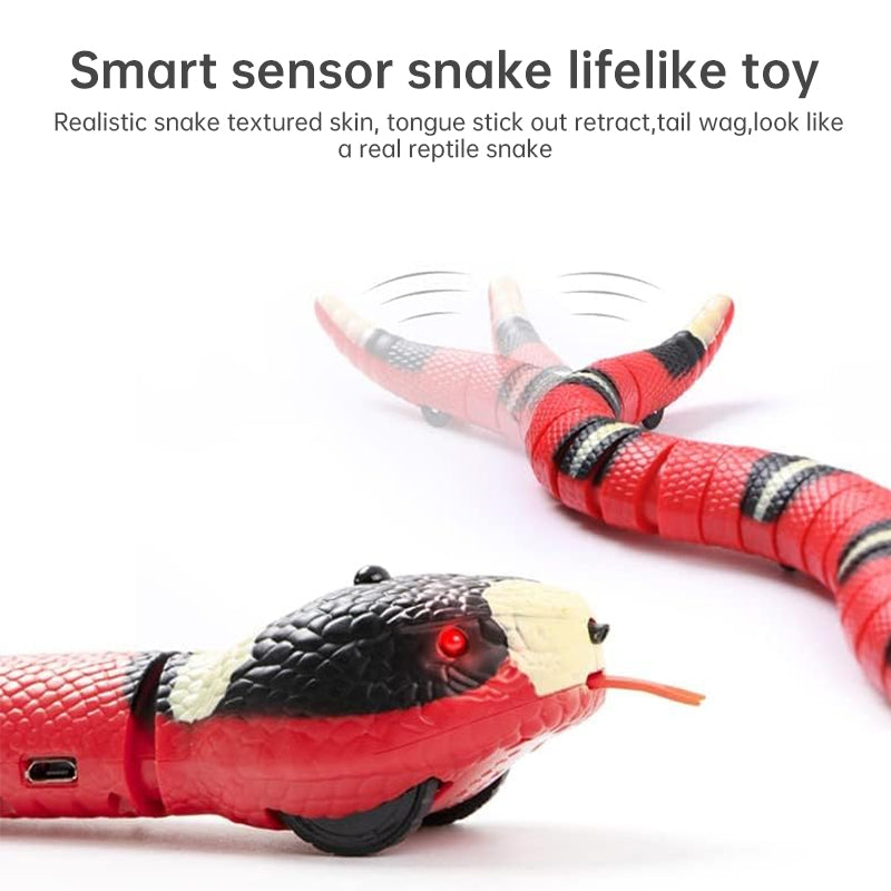 USB Rechargeable Interactive Cat Toy with Smart Sensing, an Automatic Electronic Snake for Kittens' Indoor Play. - V.I.P Digital Presence