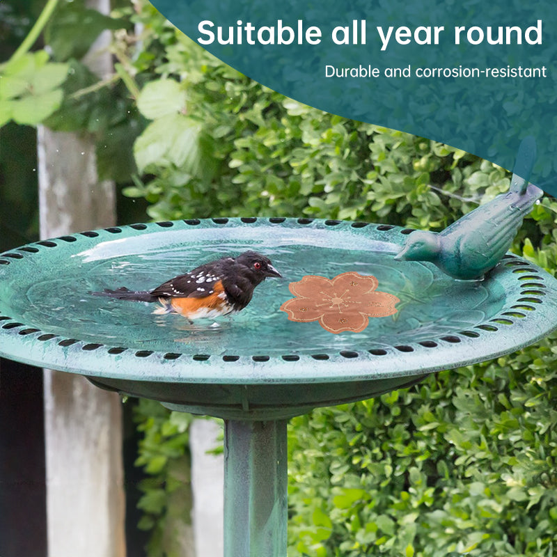 Universal Bird Bath Copper Tray with 3-point Support Purification Plate – for Outdoor Bird Baths & Feeding Bowls - V.I.P Digital Presence